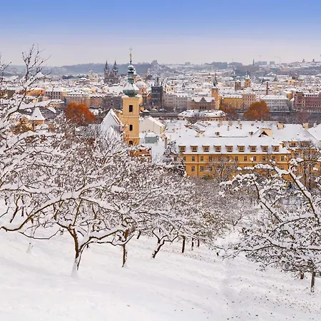 Spacious E1 In Centre Of Praha