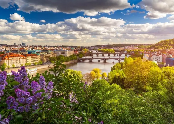 Spacious E1 In Centre Of 홈스테이 *